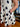 Addie Polka Dot Dress